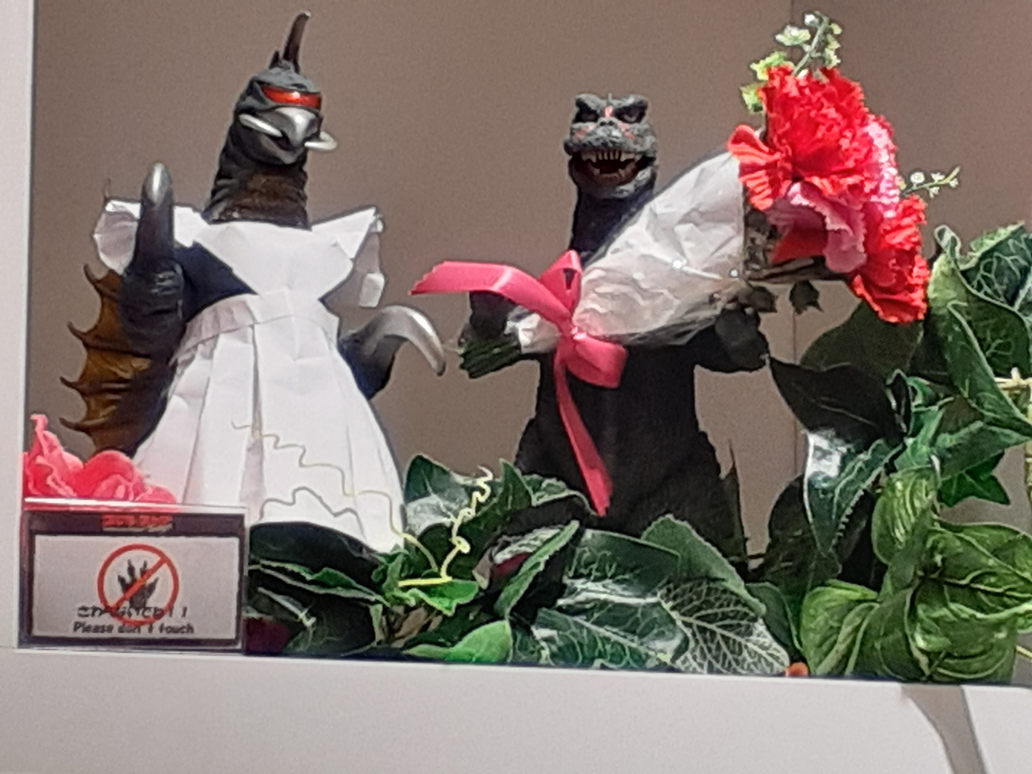 an image